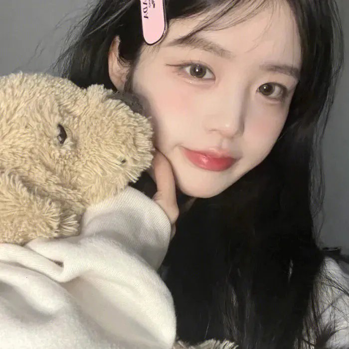 谍网雄鸽
